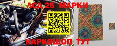 индика Новозыбков