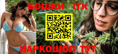 дмт Новокубанск
