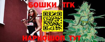 индика Новозыбков