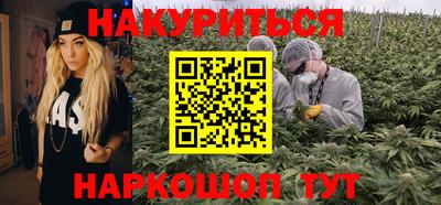 дмт Новокубанск